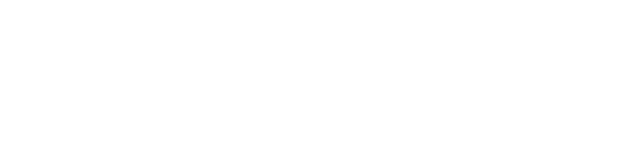 Panora White Logo Text 1